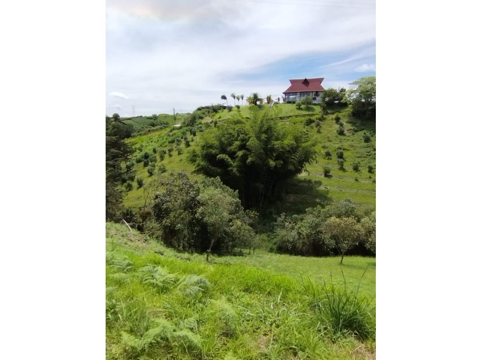 Lote para la Venta en Parcelación - Marinilla