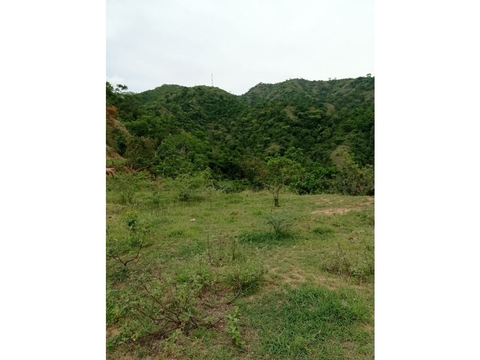 Espectaculares Lotes para Fincas de Recreo y Descanso-Sopetrán — foto 4