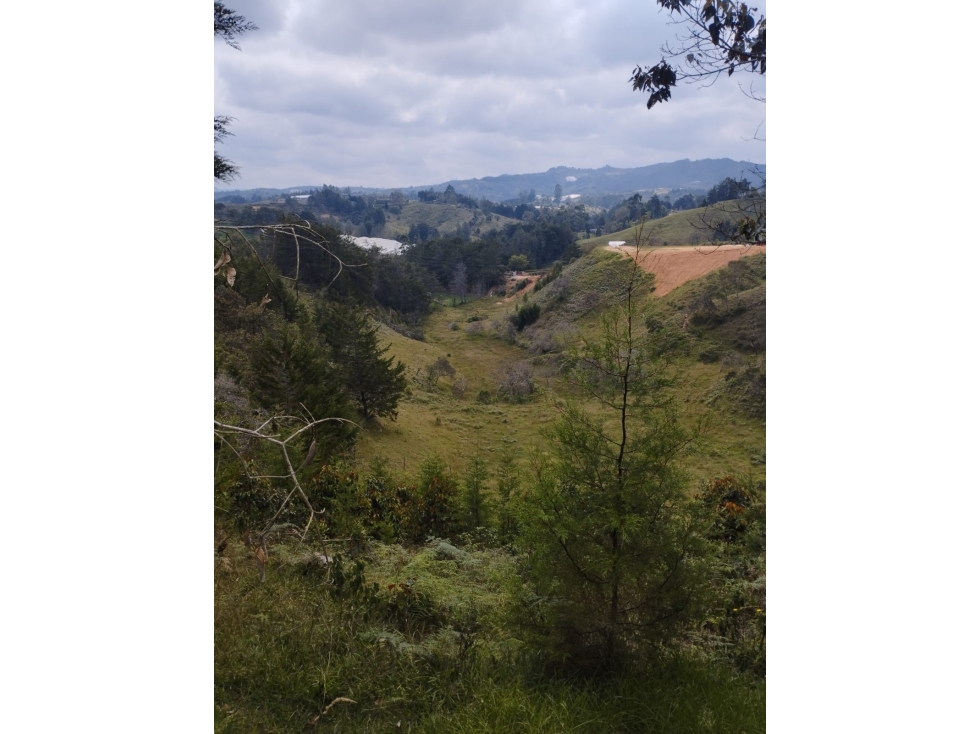 Lote Amplio a la Venta - Vereda La Enea, Guarne — foto 5