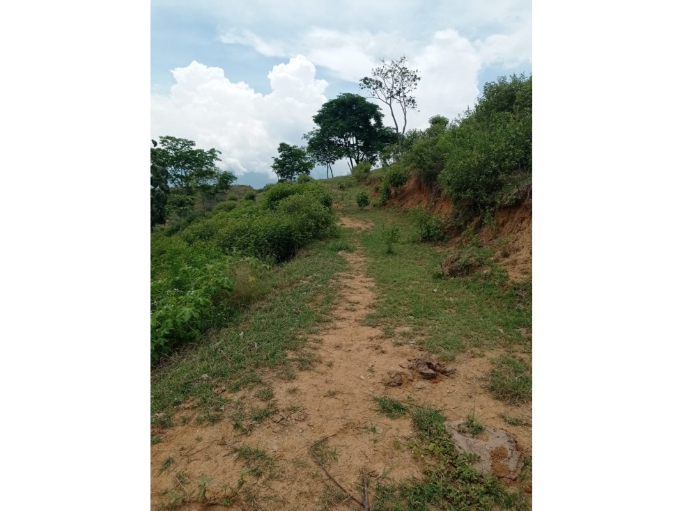 Espectaculares Lotes para Fincas de Recreo y Descanso-Sopetrán — foto 6