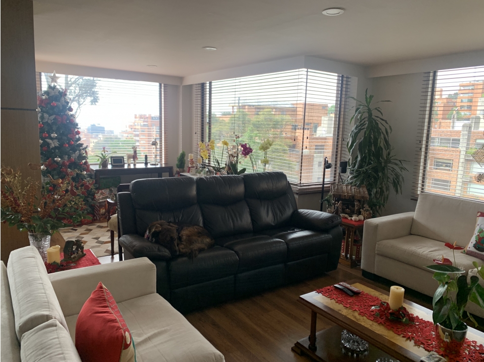 ARRIENDO APARTAMENTO CON VISTA A LA CAÑADA EN ROSALES — foto 5