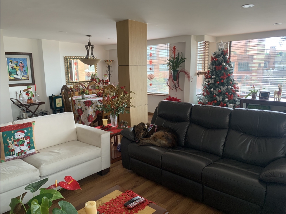 ARRIENDO APARTAMENTO CON VISTA A LA CAÑADA EN ROSALES — foto 4