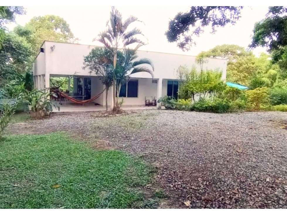VENDO FINCA EN LAS AFUERAS DE IBAGUE VIA AL SALADO - 1