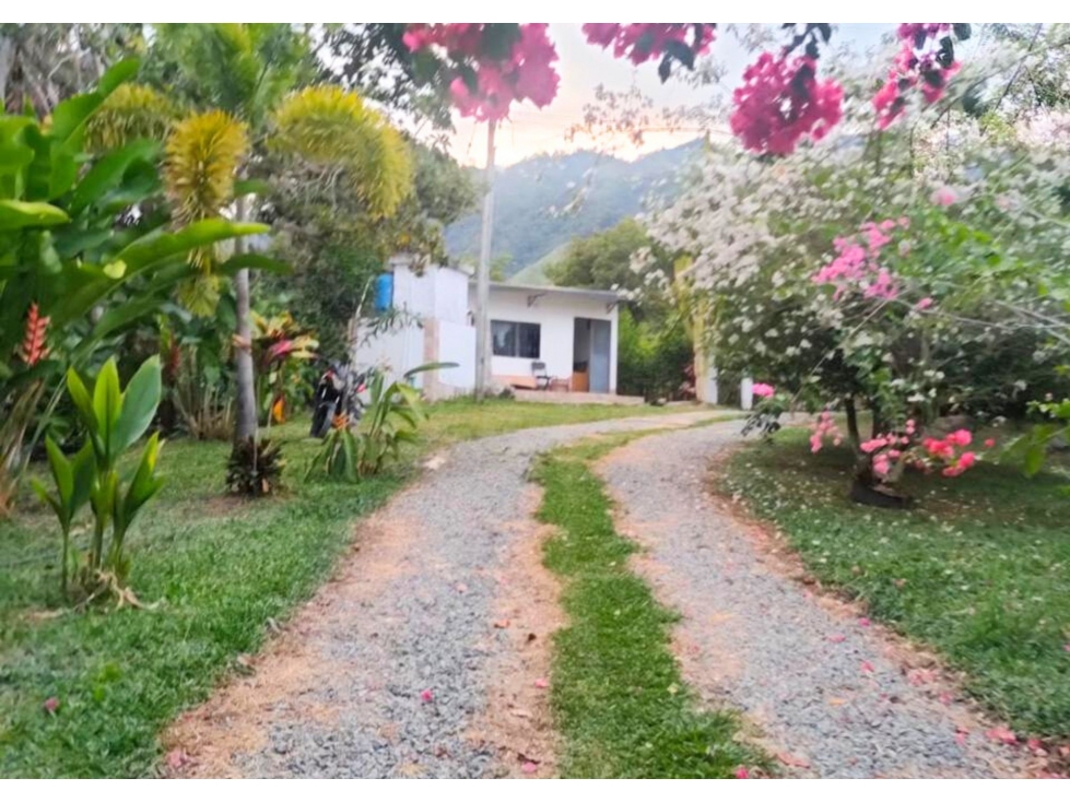 VENDO FINCA EN LAS AFUERAS DE IBAGUE VIA AL SALADO - 3