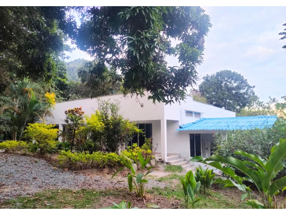 VENDO FINCA EN LAS AFUERAS DE IBAGUE VIA AL SALADO - 2
