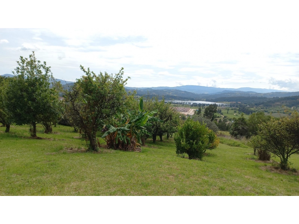 VENTA LOTE EN PAIPA - 6