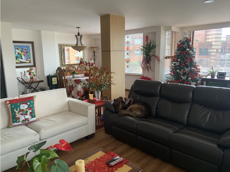 ARRIENDO APARTAMENTO CON VISTA A LA CAÑADA EN ROSALES — foto 3