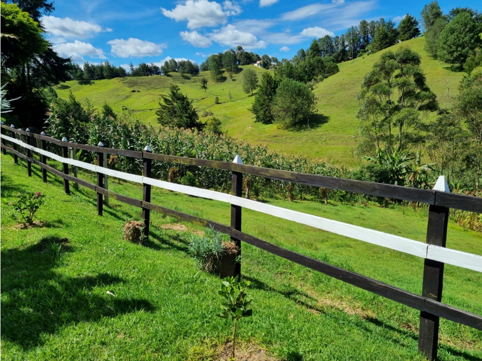 Venta de Finca Rionegro Vereda Barro Blanco — foto 4