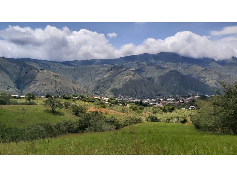 Terrenos - Lotes en Venta - Agrosostenibles - Dagua — foto 2
