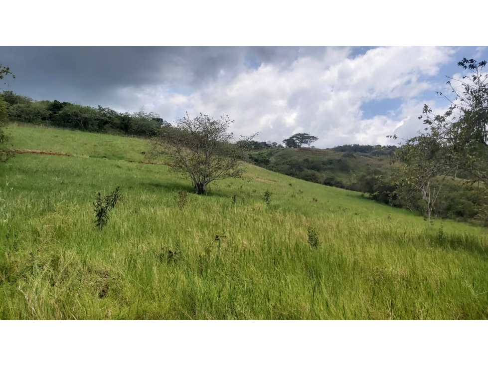 Terrenos - Lotes en Venta - Agrosostenibles - Dagua — foto 3