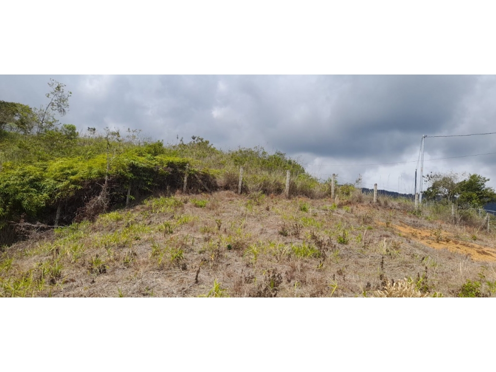 Lote de Terreno en Venta - El Carmen - Km 30 - Via Cali - Buenaventura — foto 4