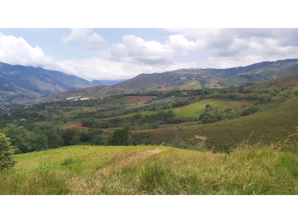 Terrenos - Lotes en Venta - Agrosostenibles - Dagua