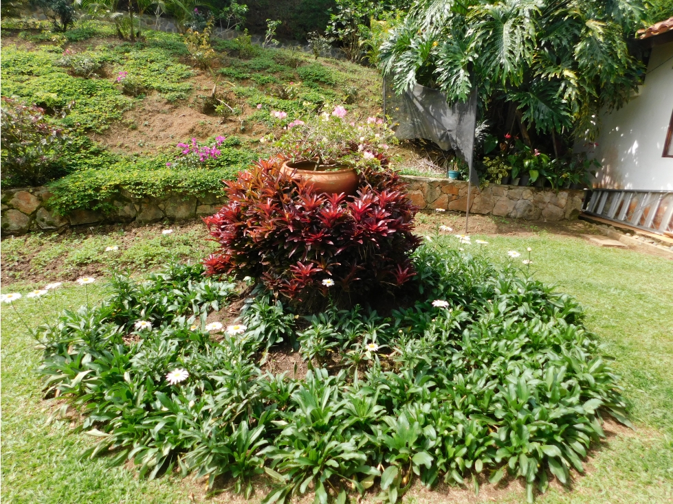 Hermosa Finca en Venta Ubicada en el Lago Calima - Cali - Colombia - 6