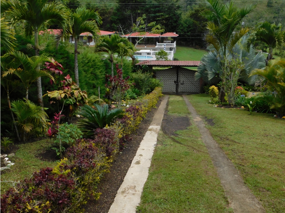 Vendo Finca en La CUMBRE - PAVITAS - VALLE DEL CAUCA - 5