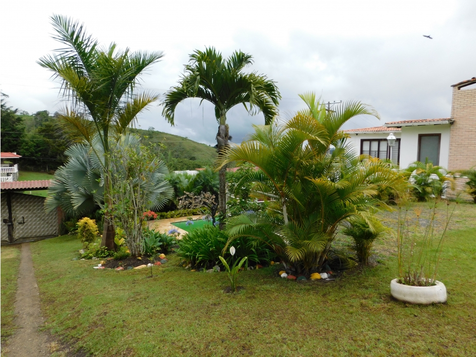 Vendo Finca en La CUMBRE - PAVITAS - VALLE DEL CAUCA - 4