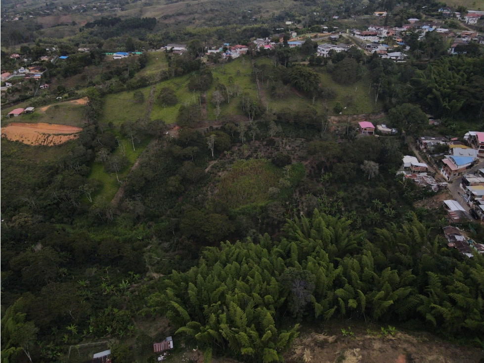 Lote en Venta La Cumbre, Valle del Cauca Entre Guaduales y Montañas - 4