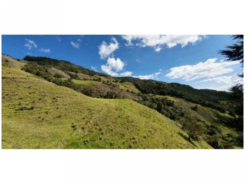 FINCA PARA PROYECTO MEDIANO IDEAL AGUACATES HASS - 2