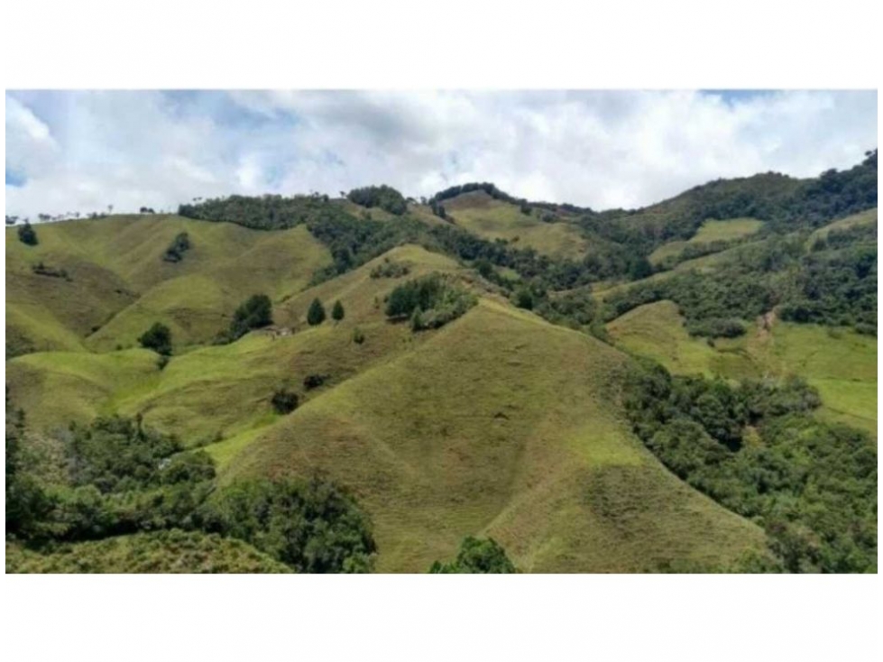 FINCA PARA PROYECTO MEDIANO IDEAL AGUACATES HASS - 3