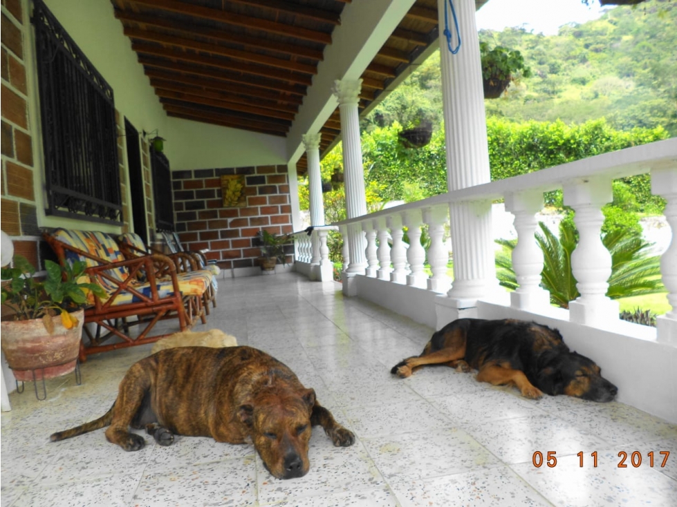 HERMOSA FINCA EN SOPETRAN — foto 6