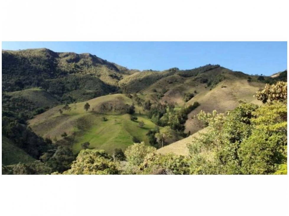 FINCA PARA PROYECTO MEDIANO IDEAL AGUACATES HASS - 5