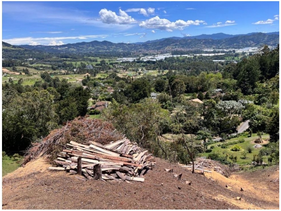 LOTE PARA LA VENTA EN UNA DE LAS MEJORES PARCELACIONES DE LA CEJA — foto 5