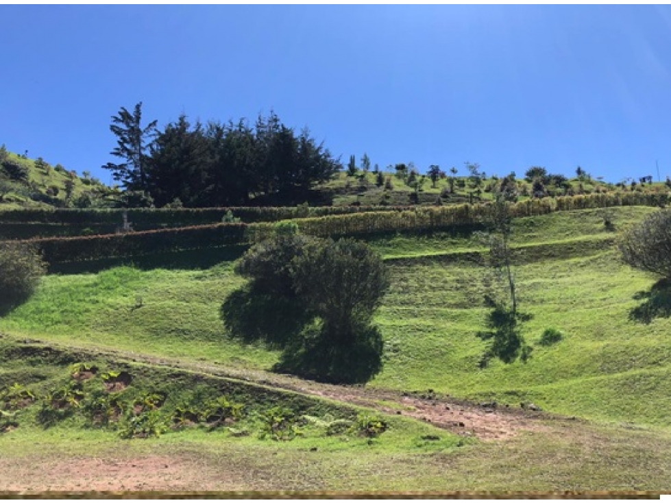 LOTE UBICADO EN PARCELACION VEREDA PANTANILLO — foto 2