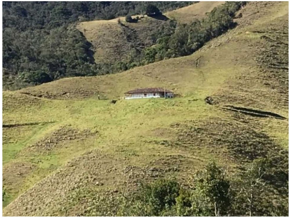 FINCA PARA PROYECTO MEDIANO IDEAL AGUACATES HASS - 6