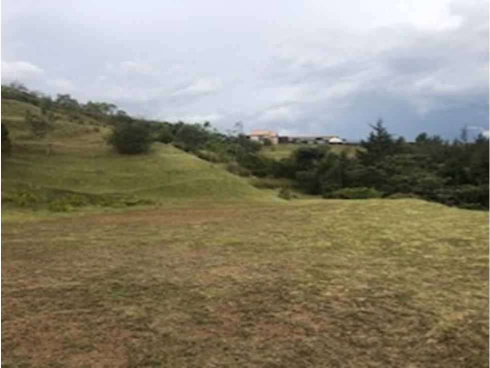 LOTE UBICADO EN PARCELACION VEREDA PANTANILLO — foto 6