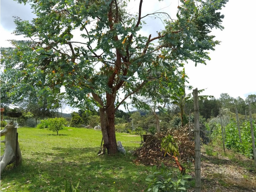 HERMOSA FINCA EN VENTA CERCANA CON EL PARQUE ARVI — foto 6