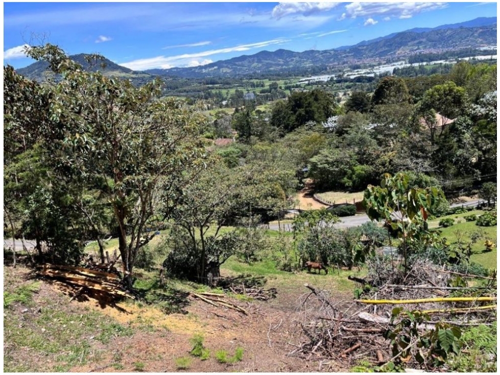 LOTE PARA LA VENTA EN UNA DE LAS MEJORES PARCELACIONES DE LA CEJA — foto 4