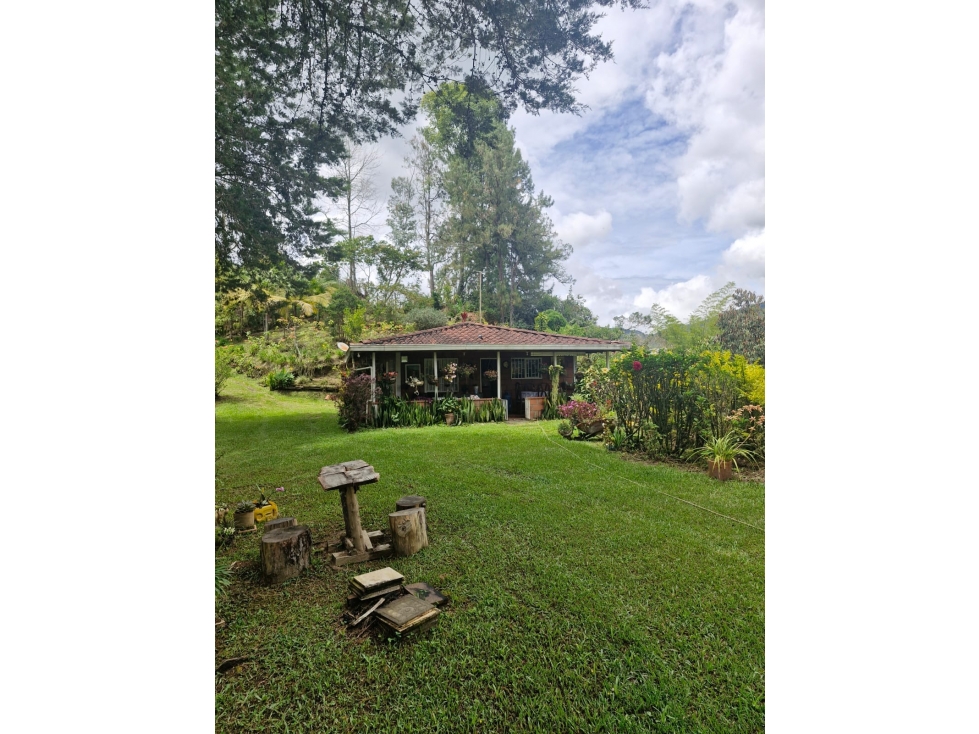 VENTA LOTE CAMPESTRE CON CABAÑAS EN EL PEÑOL SECTOR VEREDA EL MORRO - 2