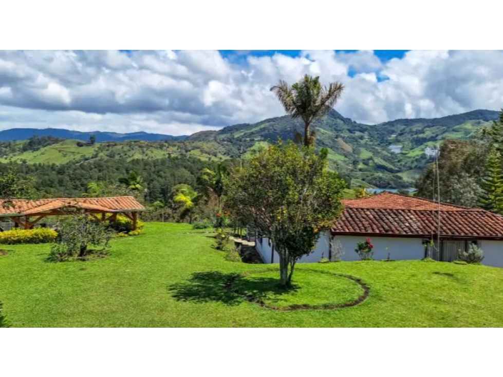 SE VENDE FINCA EN EL PEÑOL ANTIOQUIA — foto 4