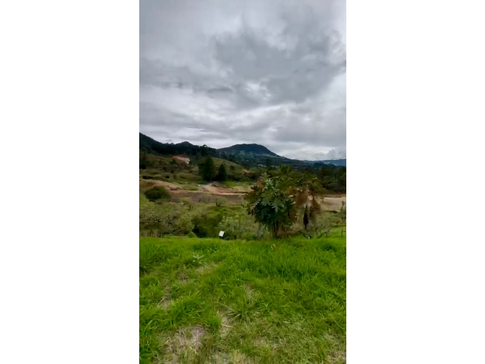 EN VENTA LOTE SECTOR SAN ANTONIO VÍA LA CEJA ANTIOQUIA — foto 6