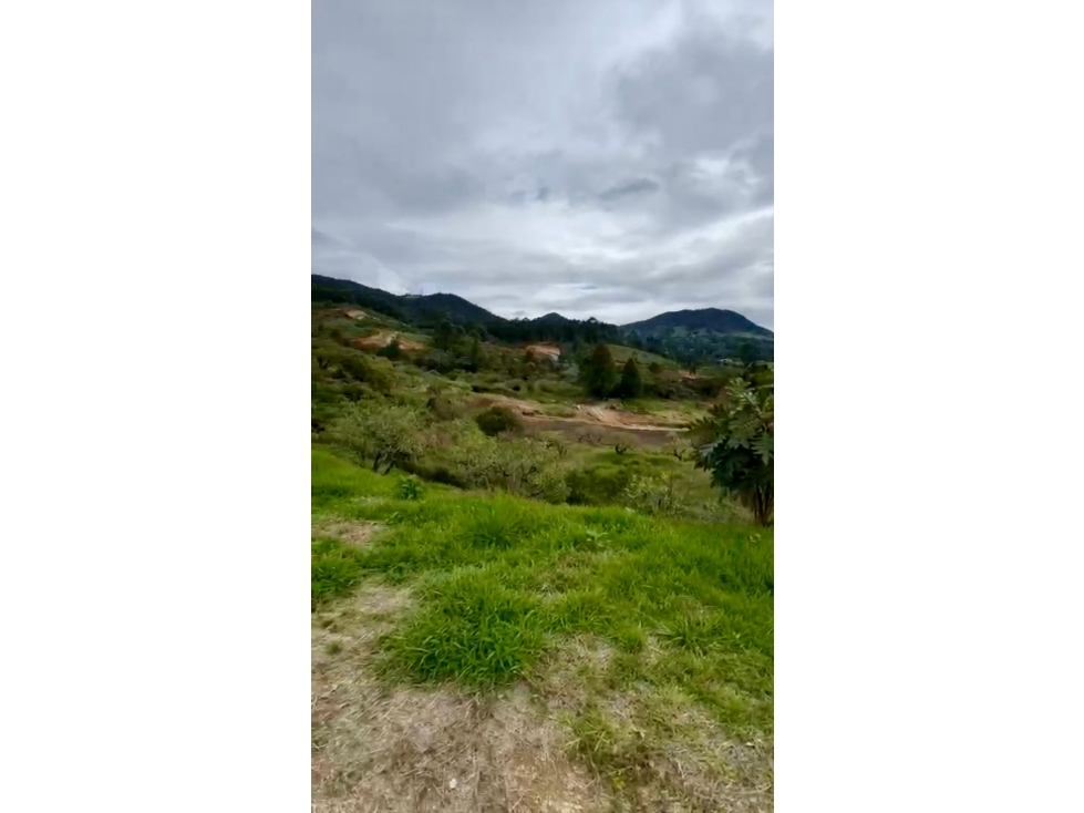 EN VENTA LOTE SECTOR SAN ANTONIO VÍA LA CEJA ANTIOQUIA — foto 4