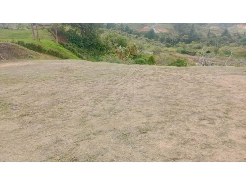 EN VENTA LOTE SECTOR SAN ANTONIO VÍA LA CEJA ANTIOQUIA — foto 2
