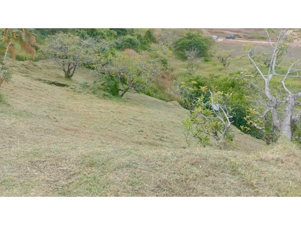 EN VENTA LOTE SECTOR SAN ANTONIO VÍA LA CEJA ANTIOQUIA — foto 3