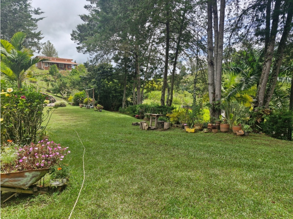 VENTA LOTE CAMPESTRE CON CABAÑAS EN EL PEÑOL SECTOR VEREDA EL MORRO - 1