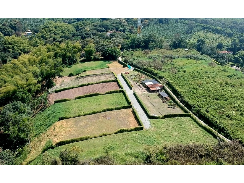 LOTE CAMPESTRE EN VENTA - VIA ARMENIA A PUEBLO TAPAO — foto 4
