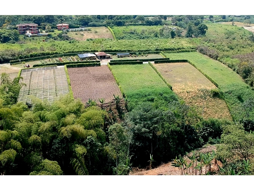 LOTE CAMPESTRE EN VENTA - VIA ARMENIA A PUEBLO TAPAO — foto 6