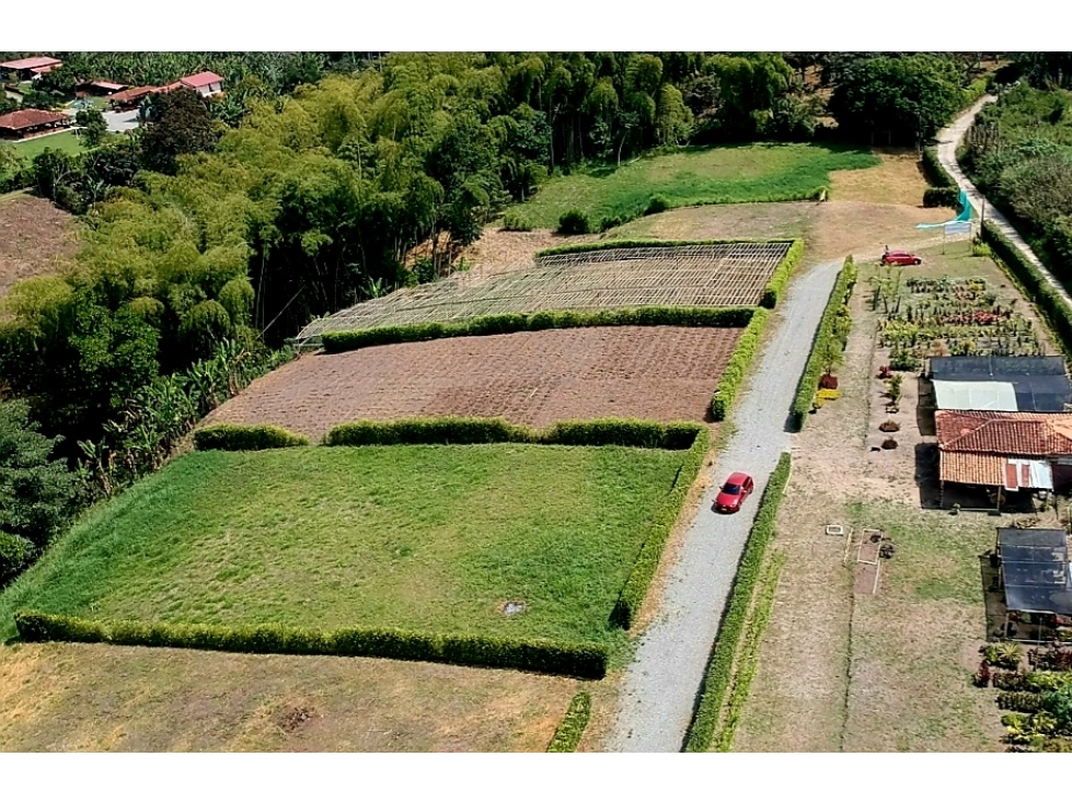 LOTE CAMPESTRE EN VENTA - VIA ARMENIA A PUEBLO TAPAO — foto 5