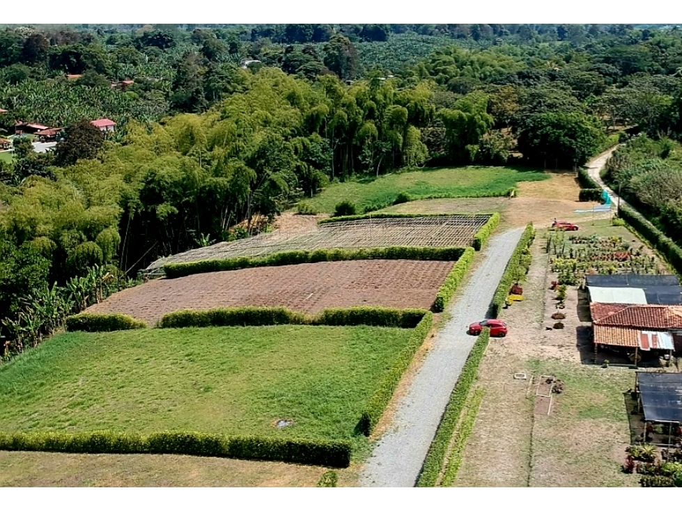 LOTE CAMPESTRE EN VENTA - VIA ARMENIA A PUEBLO TAPAO — foto 2