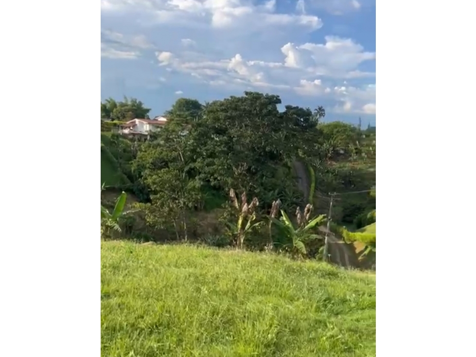 LOTE CAMPESTRE EN VENTA EN QUIMBAYA — foto 5