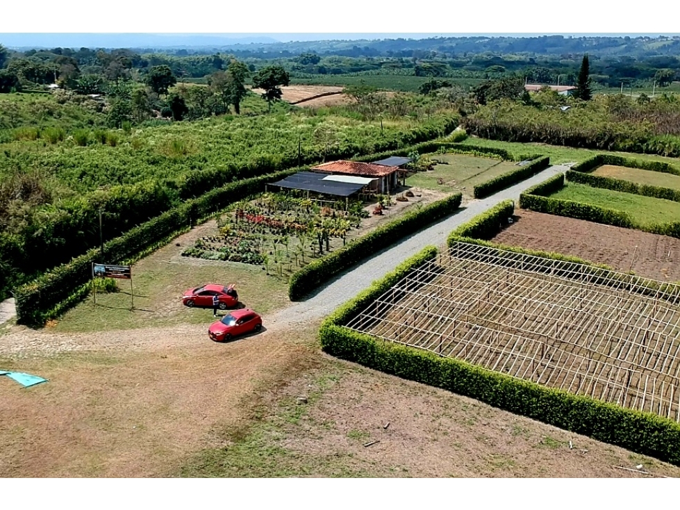 LOTE CAMPESTRE EN VENTA - VIA ARMENIA A PUEBLO TAPAO — foto 3