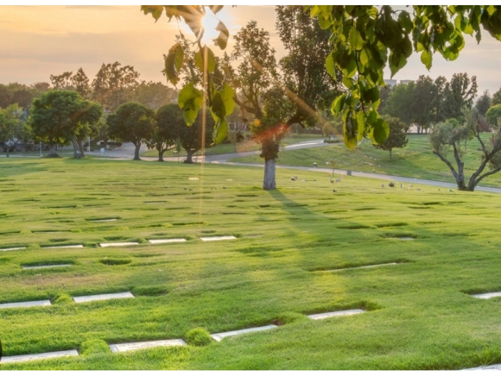 LOTE CEMENTERIO JARDINES DEL RECUERDO — foto 5