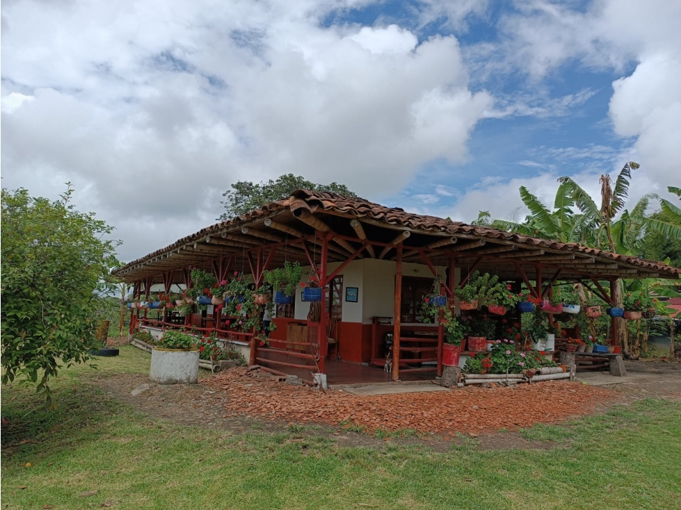 FINCA EN VENTA EN CIRCASIA - HOJAS ANCHAS