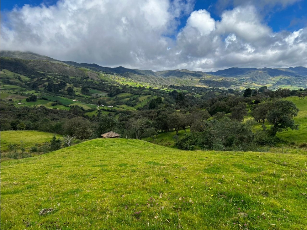 LOTE EN VENTA - A 10 MINUTOS DE GUATAVITA - 1