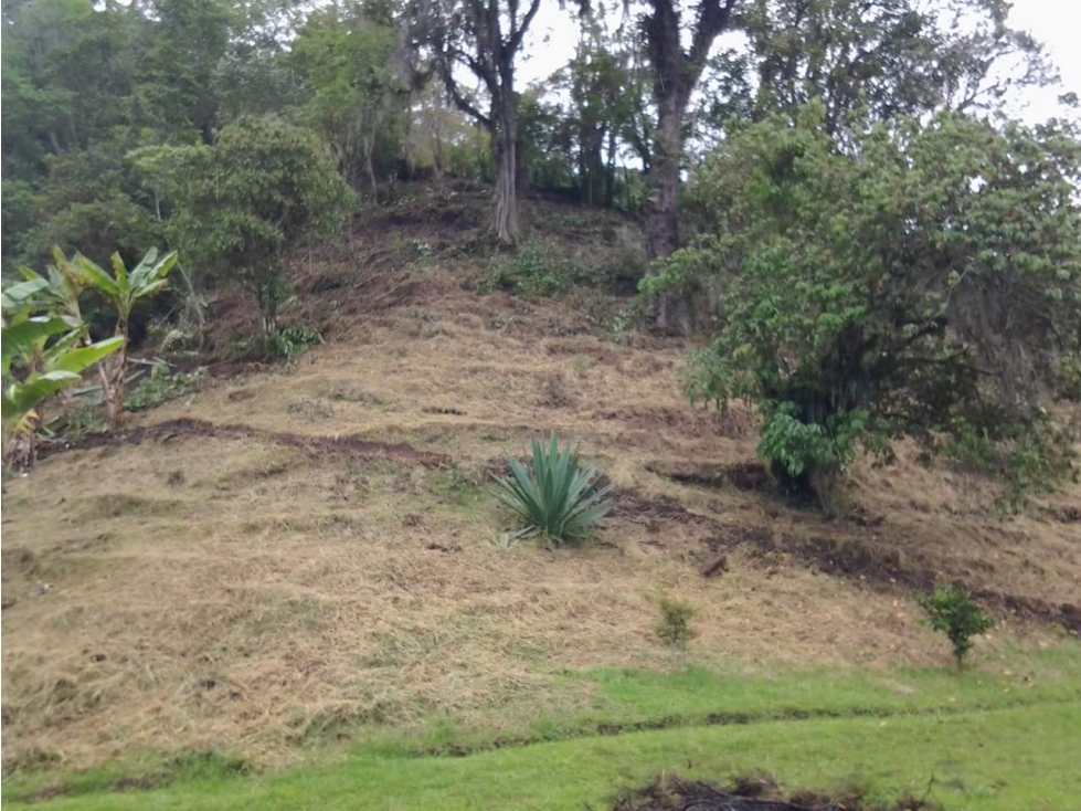 LOTE EN VENTA - VALLE DEL COCORA - SALENTO - 3