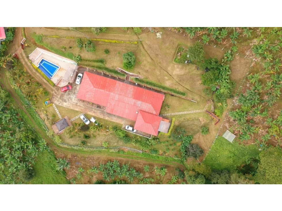 FINCA EN VENTA - BUENAVISTA (QUINDÍO) - 4