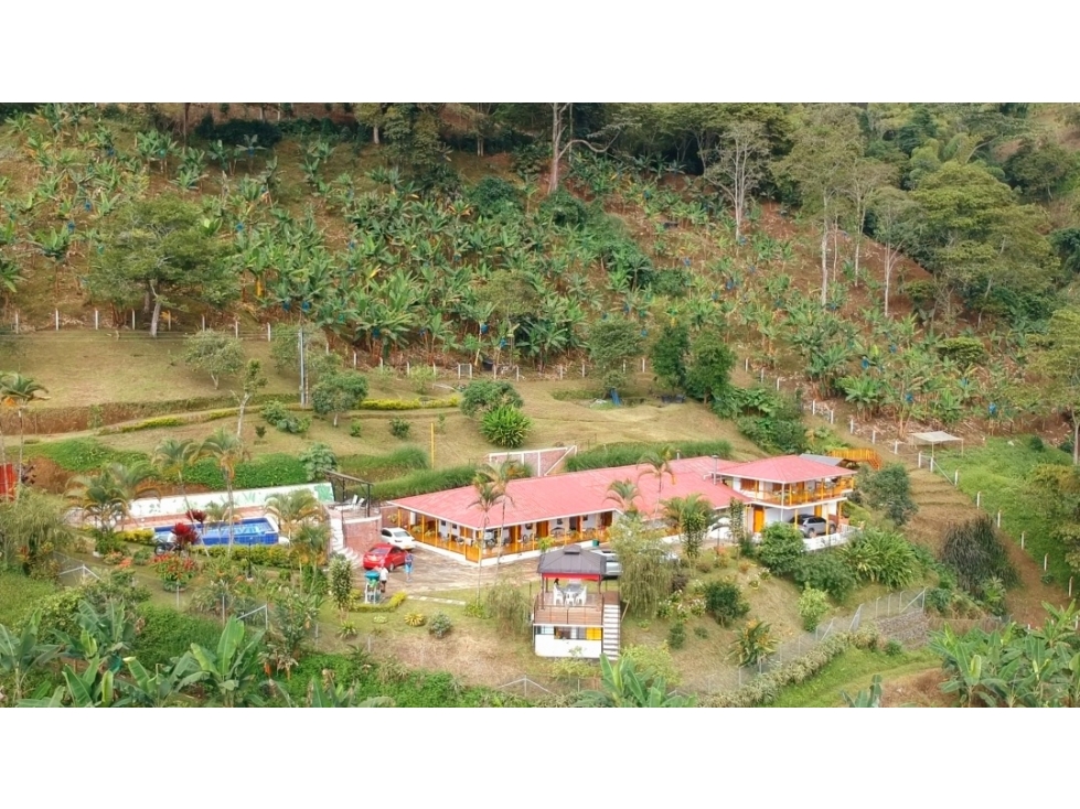 FINCA EN VENTA - BUENAVISTA (QUINDÍO) - 5