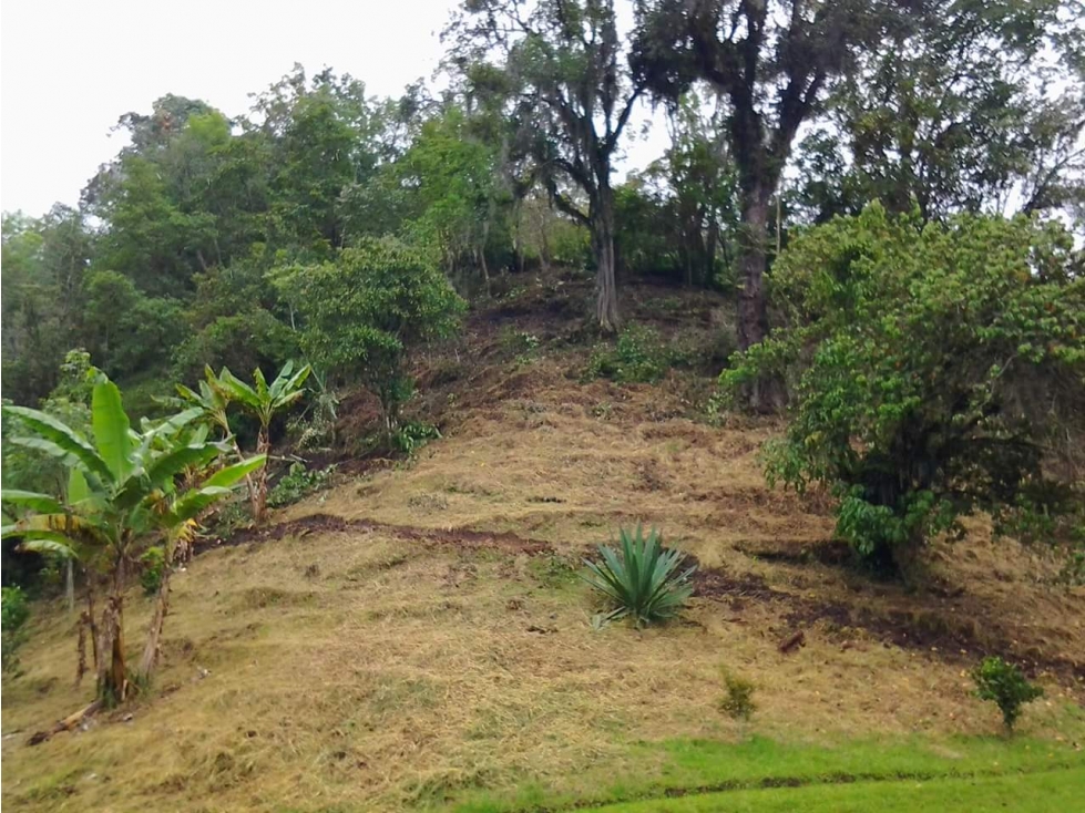 LOTE EN VENTA - VALLE DEL COCORA - SALENTO - 6